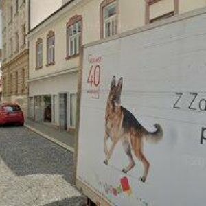 obrazek: avatar ČESKÝ SVAZ CHOVATELŮ, ZÁKLADNÍ ORGANIZACE Boskovice