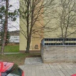 obrazek: avatar ČESKÝ SVAZ CHOVATELŮ, ZÁKLADNÍ ORGANIZACE 21 Brno-Řečkovice