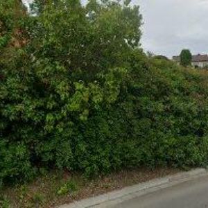 obrazek: avatar MORAVSKÝ RYBÁŘSKÝ SVAZ, MO Olešnice