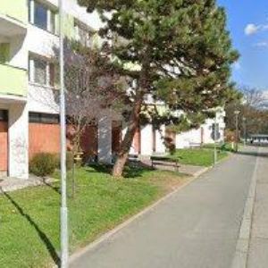 obrazek: avatar ASOCIACE STŘEDOŠKOLSKÝCH KLUBŮ ČESKÉ REPUBLIKY, z.s.