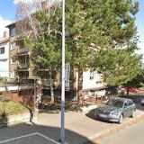 CENTRUM PRO STUDIUM DEMOKRACIE A KULTURY