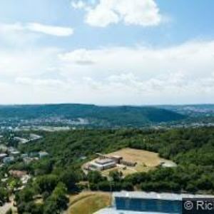 obrazek: avatar ARSM