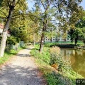 obrazek: avatar MORAVSKÝ RYBÁŘSKÝ SVAZ, MO Pohořelice