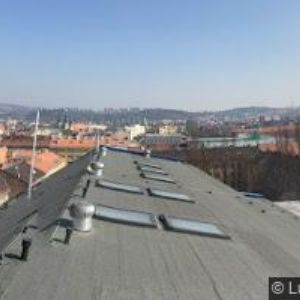 obrazek: avatar ZÁKLADNÍ ČLÁNEK HNUTÍ BRONTOSAURUS SLUNOVRAT