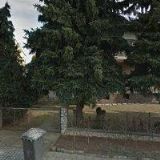 KYNOLOGICKÝ KLUB Židlochovice