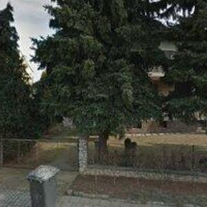 obrazek: avatar KYNOLOGICKÝ KLUB Židlochovice