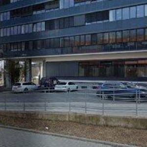 obrazek: avatar ČESKOSLOVENSKÁ BIOLOGICKÁ SPOLEČNOST