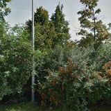 CB SPOLEK BRNO A OKOLÍ