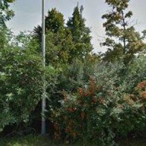 obrazek: avatar CB SPOLEK BRNO A OKOLÍ