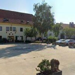 obrazek: avatar VINAŘSKÝ SPOLEK MORAVSKÁ NOVÁ VES