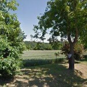 obrazek: avatar OBČANSKÉ SDRUŽENÍ DEN-BRNO