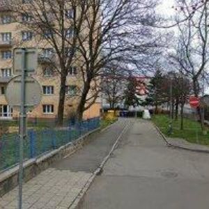 obrazek: avatar ČESKÁ ASOCIACE PRO KOKTAVOST