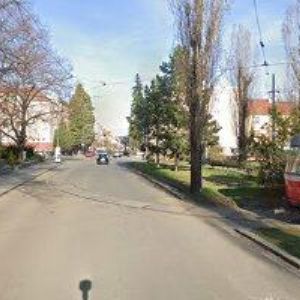 obrazek: avatar ČESKÁ TECHNOLOGICKÁ PLATFORMA LESNÍHO HOSPODÁŘSTVÍ