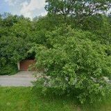 ZO ČSOP ŽDÁNICKÝ LES