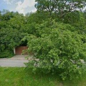 obrazek: avatar ZO ČSOP ŽDÁNICKÝ LES