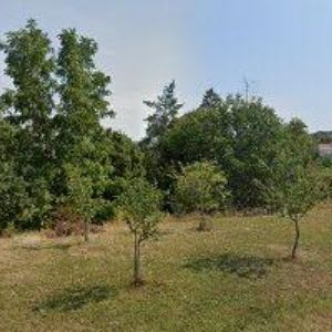 obrazek: avatar ZO ČSOP Radějov 58/10