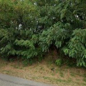 obrazek: avatar KYNOLOGICKÝ KLUB Želešice