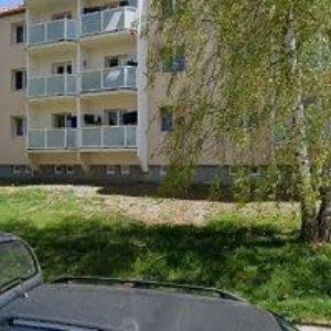 obrazek: avatar LAVINA  z.s.