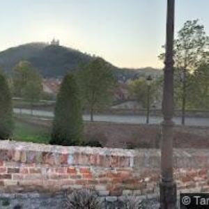 obrazek: avatar ALIANCE VINAŘŮ V8, z.s.