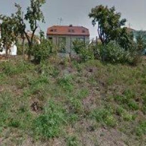 obrazek: avatar ČESKÝ SVAZ CHOVATELŮ, ZÁKLADNÍ ORGANIZACE Medlov