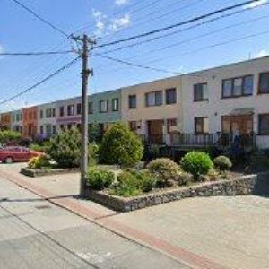 obrazek: avatar ČESKÝ SVAZ CHOVATELŮ, ZÁKLADNÍ ORGANIZACE Moutnice