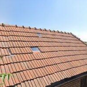 obrazek: avatar ČESKÝ SVAZ CHOVATELŮ, ZÁKLADNÍ ORGANIZACE Němčičky