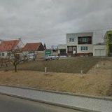 ČESKÝ SVAZ CHOVATELŮ, ZÁKLADNÍ ORGANIZACE Šitbořice