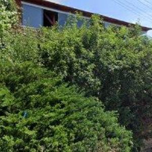 obrazek: avatar BASTA FIDLI VALTICE