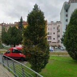 obrazek: avatar RATOLEST BRNO, z.s.