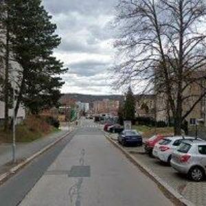 obrazek: avatar ČESKÝ SOFTTENISOVÝ SVAZ