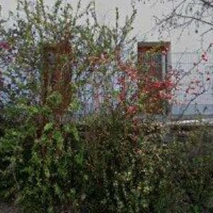 obrazek: avatar OBEC Olomučany