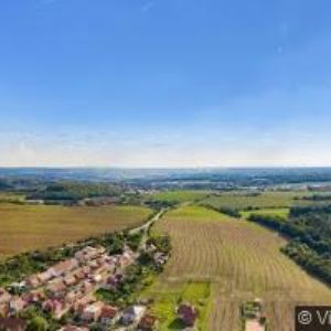 obrazek: avatar OBEC Babice u Rosic