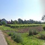 ČESKÝ SVAZ CHOVATELŮ, ZÁKLADNÍ ORGANIZACE Moravská Nová Ves