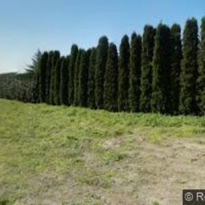 obrazek: avatar OBEC Vedrovice