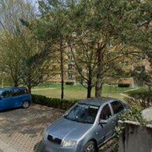 obrazek: avatar ZO ČESKÉHO ZAHRÁDKÁŘSKÉHO SVAZU Brno Kamenný Vrch