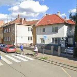 obrazek: avatar ŽÍT BRNO