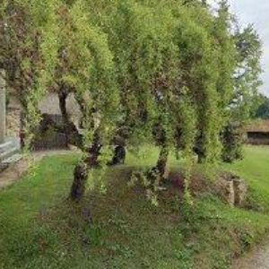 obrazek: avatar OBEC Podmyče