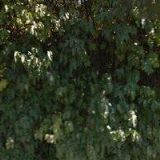 OBEC Újezd u Černé Hory