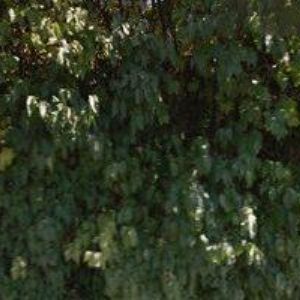 obrazek: avatar OBEC Újezd u Černé Hory