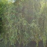 VYKOUKAL JIŘÍ-ŠTUKATERSTVÍ