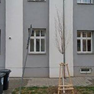 obrazek: avatar ARCHSTUDIO, s.r.o.