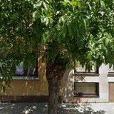 MORCOVÁ BOŽENA Ing.-GEODETICKÉ PRÁCE