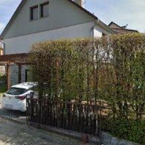 obrazek: avatar ELEMENTLAB