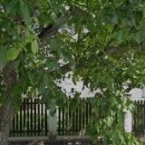 PELPRO-PROJEKT ELEKTRO PROKOP