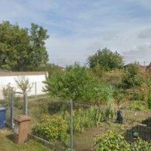 obrazek: avatar OČENÁŠEK ROSTISLAV-PAPÍR-OSTROH