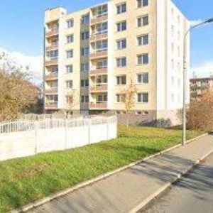 obrazek: avatar MARŠÁLEK ALEŠ