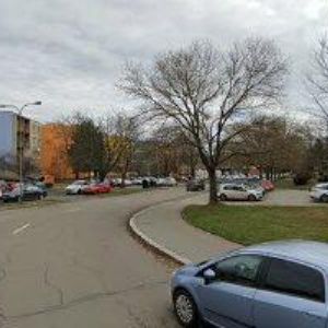 obrazek: avatar PŘÍVAROVÁ DRAHOMÍRA MUDr.