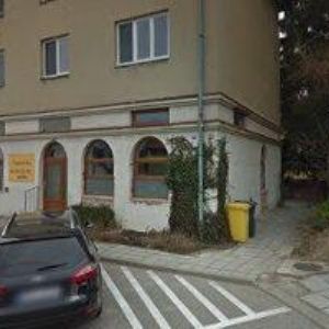 obrazek: avatar FELSINGER JAN MUDr.