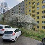 JÁSZBERÉNYIOVÁ JANA MUDr.