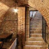 HEGAROVÁ ALENA MUDr.